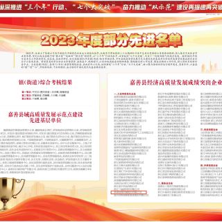 載譽(yù)啟新程！熱烈祝賀邊鋒上榜“嘉善縣經(jīng)濟(jì)高質(zhì)量發(fā)展成績(jī)突出企業(yè)”