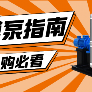 收下這份隔膜泵采購指南，助你龍年“泵”發(fā)生產(chǎn)活力